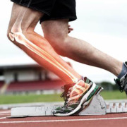 Glucosamine HCL/Sulfate