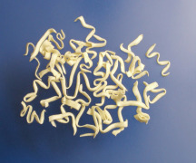 INSTANT PASTA AND NOODLES