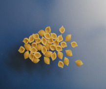 CANNING OR RETORT PASTA