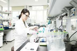 Miniature Plant Trial Services