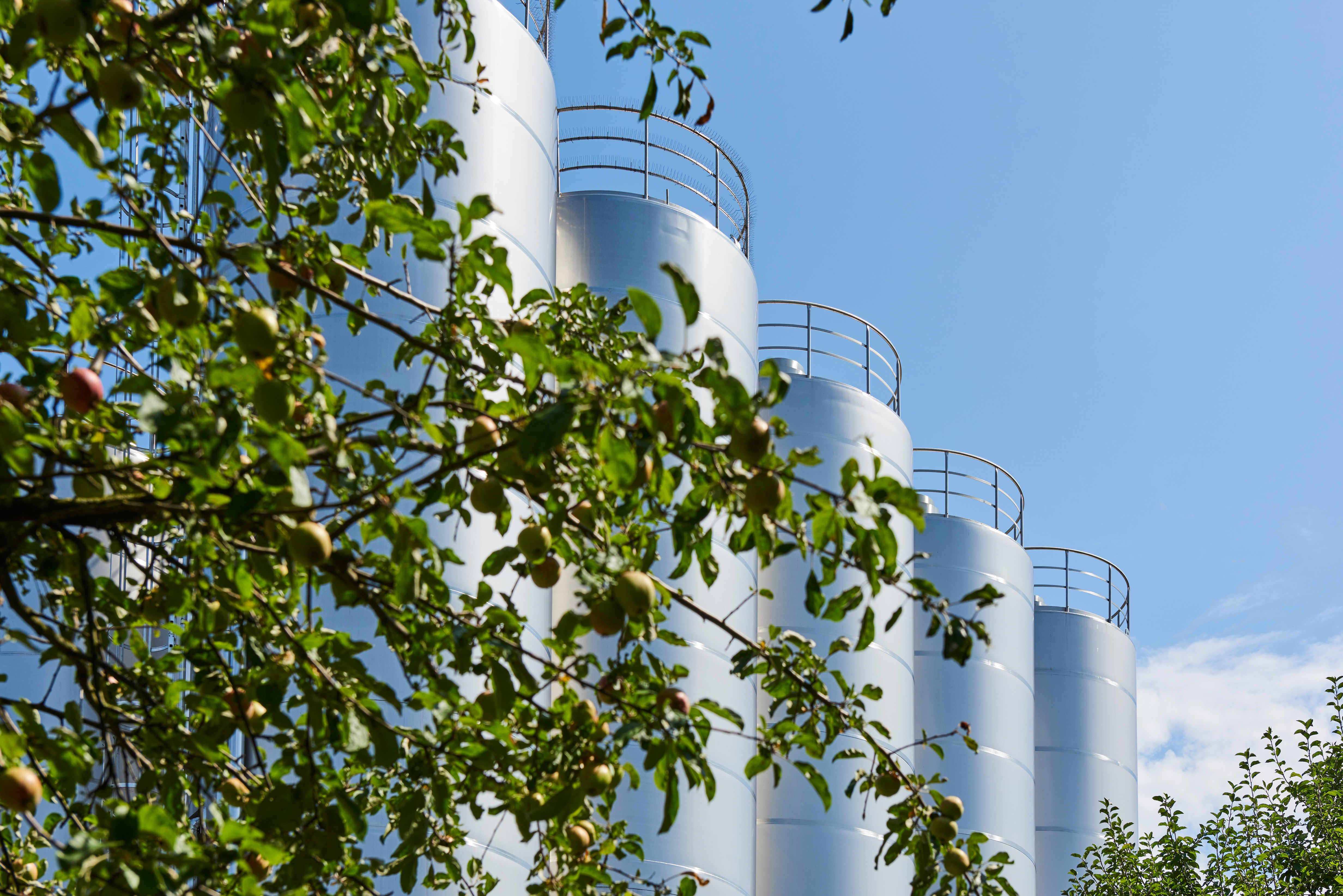 skimmed milk powder (spray-dried) and whole milk powder (roller-dried)