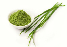 Barley GRASS