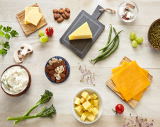 PLANT-BASED SOLUTIONS