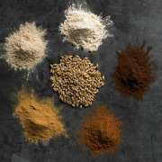 BARLEX® Malt Extract - Powder