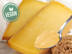 Vegan Cheddar Flavor Concentrate CHG-92050