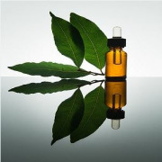 BAY LAUREL LEAF & ESSENTIAL OIL