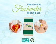Vinh Wellness Gelatin