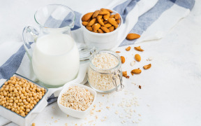 Palsgaard RecMilk 143/146 plant-based drinks emulsifier/stabiliser