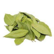 LAUREL LEAVES /  BAY LEAVES
