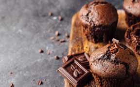 Palsgaard SE 8102 egg-replacer for vegan cake mixes