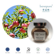 Apple Extract CAS: 60-81-1