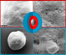 Drying and protective coating for bacteria and other fermentation products