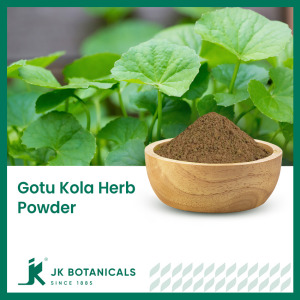 Centella Asiatica Powder (Steam Treated)