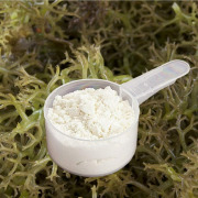 Carrageenan