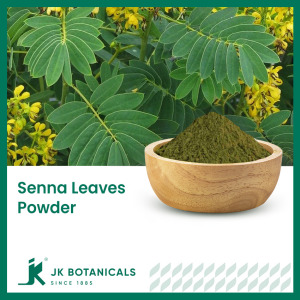 Senna Leaves Powder