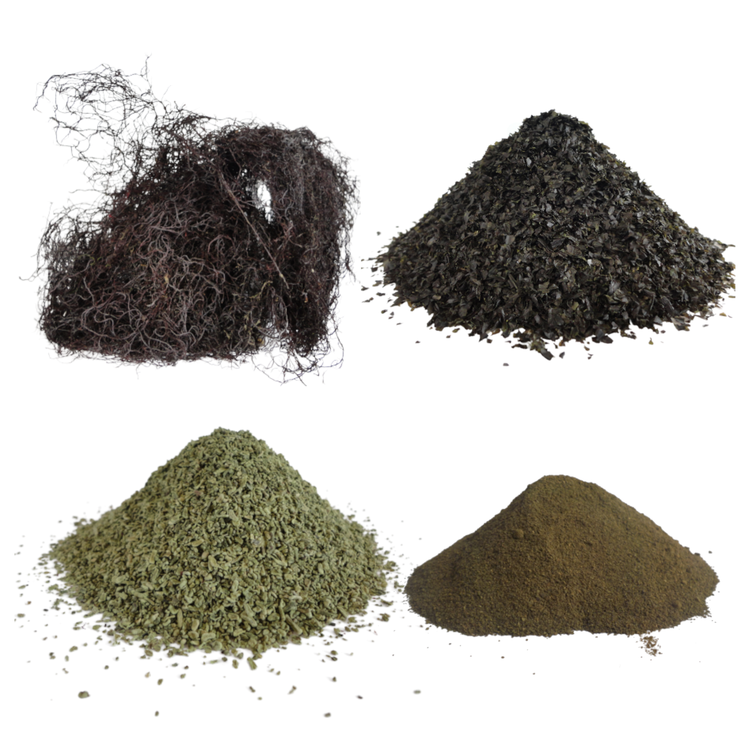 Dried Organic Seaweed