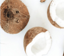 Coconut MCT Oil