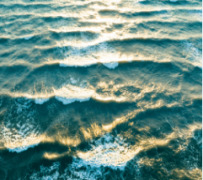 Fish Oil Concentrates