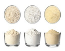 BDF ProtActive - Smart Protein Solutions