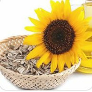 Seed oils