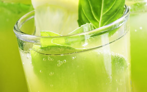 Nutritional Excellence