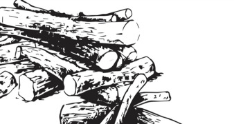 Licorice extracts and derivatives