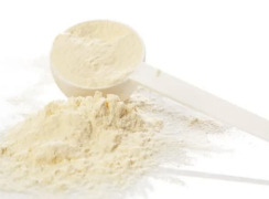 Protein Powders