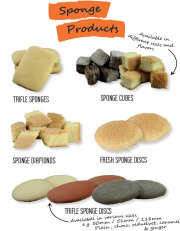Sponge Products