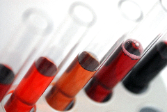 Natural Fruit Colours