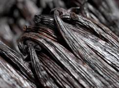 Indonesian Vanilla Beans Gourmet Grade
