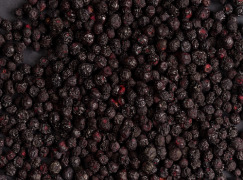 Wild Blueberry Freeze Dried