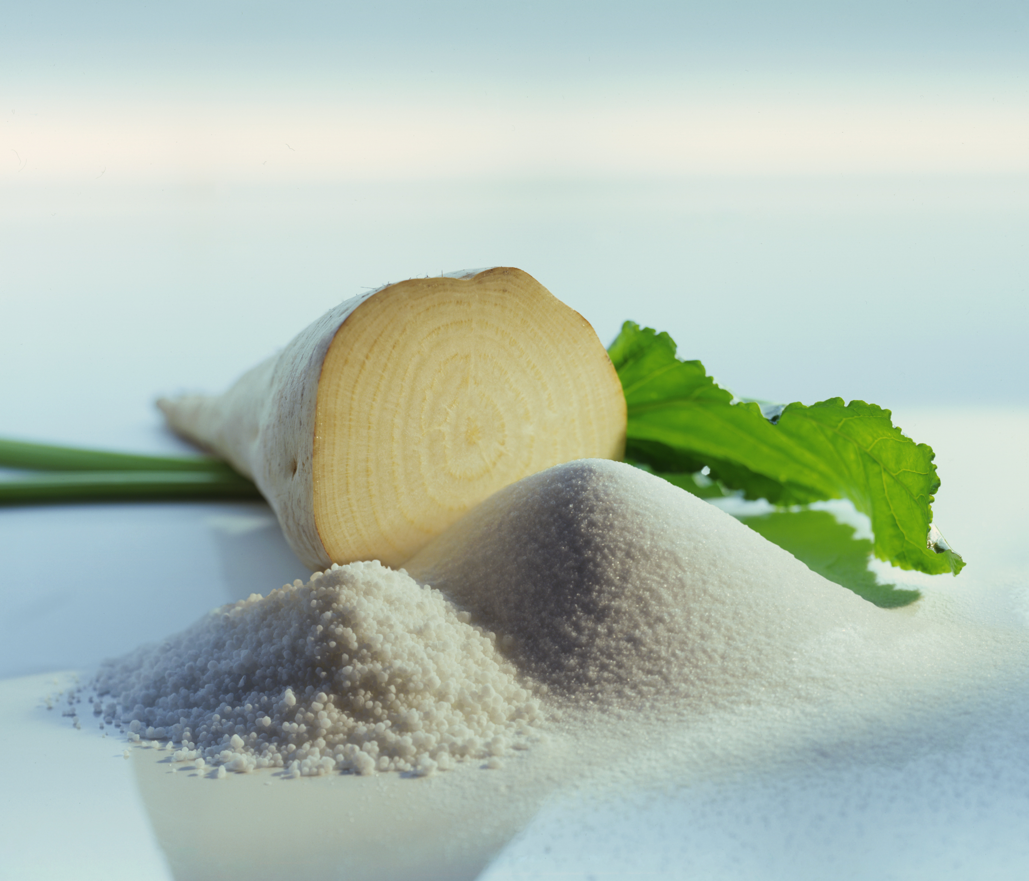 Functional Carbohydrates