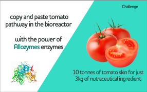 Custom-designed enzyme