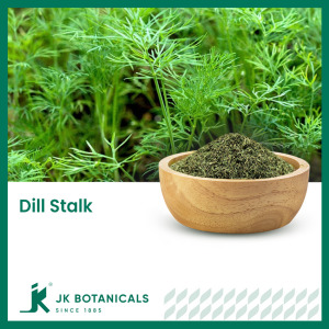Dill stalk (Anethum Graveolens)