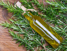 Rosemary Oil, Rosemary Oil Supplier, Rosemary Oil Manufacturer, Rosemary Oil Exporter, SCFE Co2 Rosemary Oil