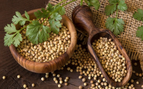 Coriander Oil & Oleoresin - SCFE(Co2) Extract