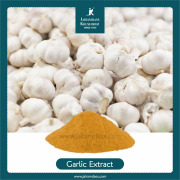 Garlic Extract