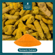 Curcumin Extract