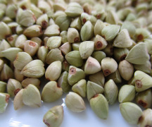 Buckwheat ingredients