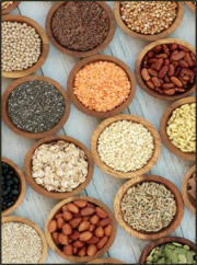 Pulses & Seeds