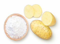 Potato Starch (Sued Starke / Amelo)