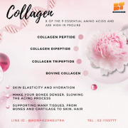 Collagen