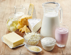 dairy ingredients