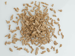 Texturized Pea and Fava bean Proteins