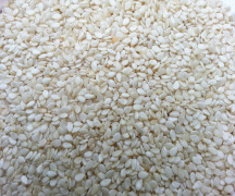 Sesame Seeds