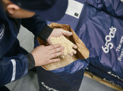 Gluten free oats (also organic)