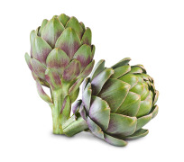 Artichoke