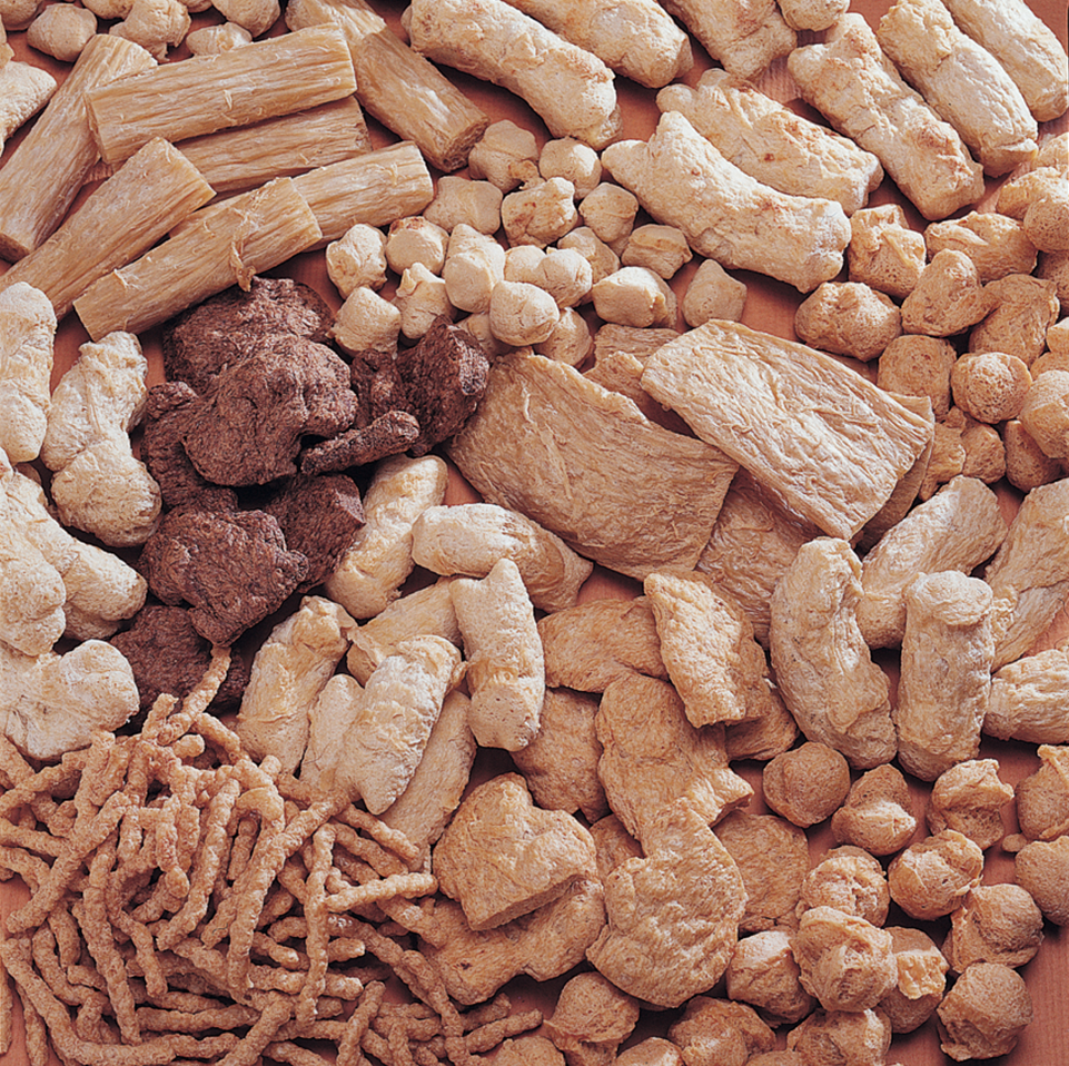 Textured Soy Protein