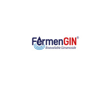 FermenGIN