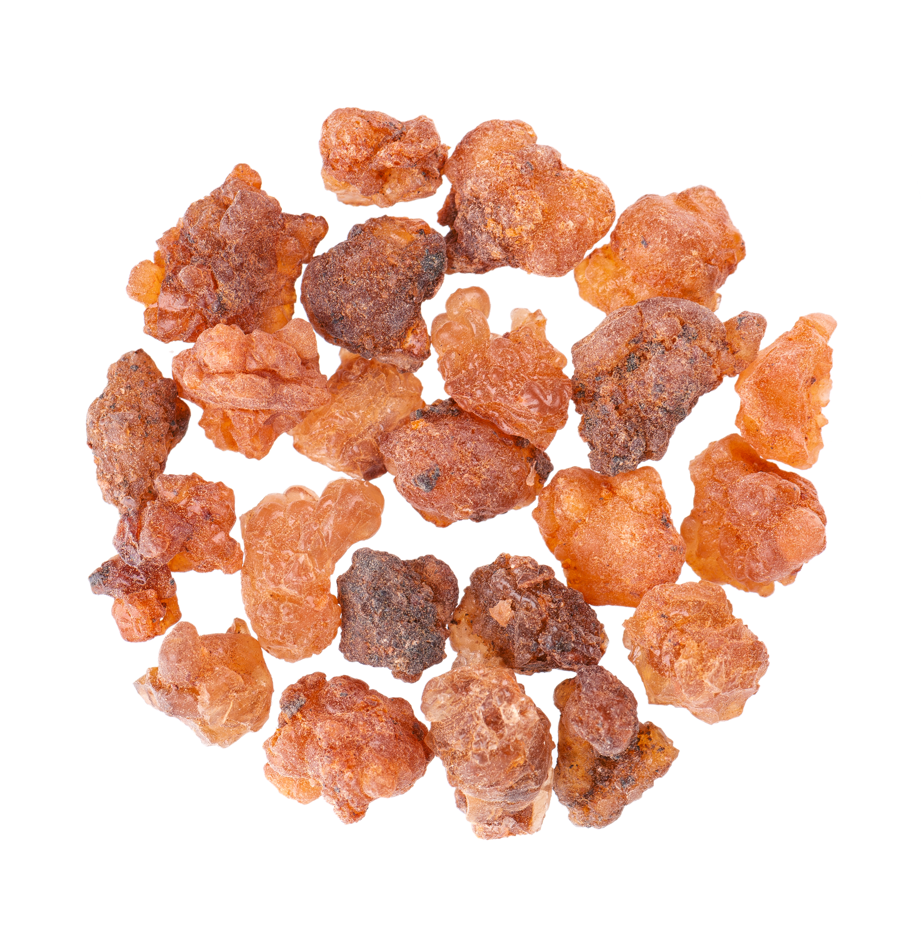 Guggul Extract (Commiphora mukul)